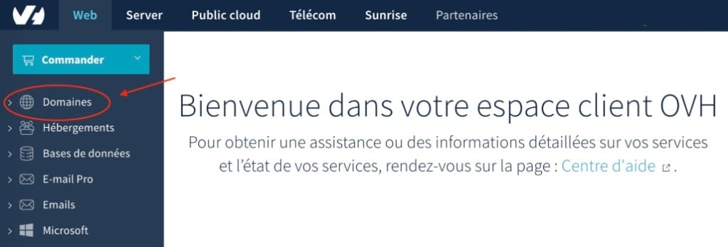 cliquer nom domaine interface ovh