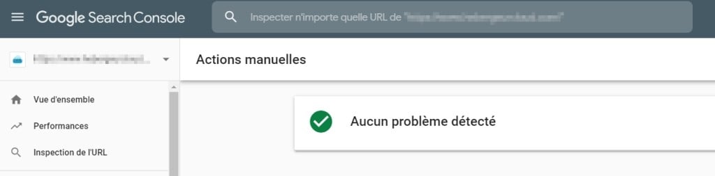 Pas d'action manuelle dans Google Search console