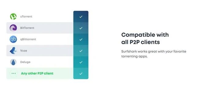 Surfshark - P2P