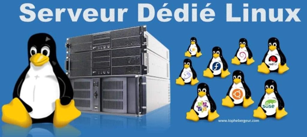 Fournisseurs de serveur dédié Linux