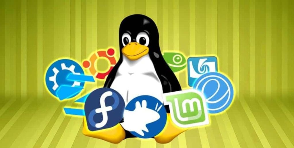 Pourquoi choisir un serveur Linux ?